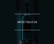 ITALICUS Rosolio di Bergamotto welcomes you to the modern world of Aperitivo, steeped in the glorious styles of ITALIAN Art, Architecture, Tradition, and History.nnAnno Domini VII - 01.09.2023nnOn the 7th Anniversary of #ITALICUS, we are thrilled to celebrate with a collaboration that embodies Italian Excellence — a reinvented Triumphal Arch designed by @pininfarina_official, a stunning addition to the ART OF ITALICUS 2023: ARCO ITALICUS.nnJust as arches once soared above the world, conveying