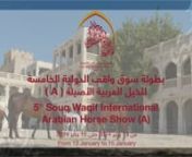 5th Souq Waqif International Arabian Horse Show 2024 from arabian