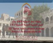 13th Qatar International Arabian Peninsula Horse Show 2024 from arabian