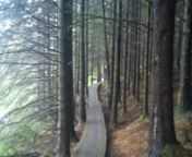 The Whites Level trail at Afan forestnnhttp://www.mbwales.com/en/content/cms/centres/afan_forest_park/whites_level/whites_level.aspx