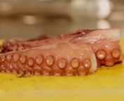 Low-temperature cooked octopus with chicory catalogna, potato and leek cream and miso saucennPolpo Cotto a bassa temperatura con catalogna, crema patate e porri e salsa al miso