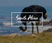 Video of the week �@airvuz2114nhttps://www.airvuz.com/video/south-africa---a-world-in-one-country-ii?id=63f358acf43a5b0008437d7bnnThe second short movie I&#39;ve made during my film trip in South-Africa January 2023. nnThe Rhino pair in the video (Bonnie &amp; Clyde) are murdered/poached. Their lives ended for their horns.nnWhat is currently happening is poachers will kill the animal for the horn to sell on the black market illegally. This is not necessary, as the horn can be removed without i