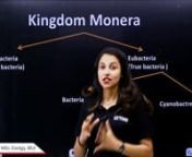 2.KINGDOM MONERA from kingdom monera