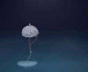 「 Fairies who were born from the lotus receptacle dance on the lake side. 」 n（蓮の花托よりうまれし妖精達は湖面を舞い踊る。）nnThis is independent short animation.n・ concept &amp; character design : Maskurun・ visual concept : Suen・ production : masam