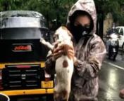 Raveena Tandon does not do ‘tip tip barsa pani’ when it rains, instead rescues a stray puppy; Watch the video that went VIRAL. The gorgeous recently took to Instagram to share a video where she saved a stray dog during the heavy Mumbai rains. The video shows Raveena lifting the frail pup up drenched in water and then taking him to her car. Netizens showered immense love on Raveena’s post. She attached an important message in the caption wherein the actress urged people to come forward and
