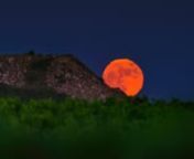 The image and video time lapse shows the full moonrise of last June 24, 2021, vividly orange in color above a hill made by rocky wastes from an extraction of marble, in Borba. In the foreground, blurred greenish hues belongs to a vineyard which is out of focus in the frame for being not faraway from my 600mm telephoto lens. Above the horizon, a sequence of shots shows the moon rising while seems to immerse into a layer of strong temperature inversion, where warm air is above colder air, creating