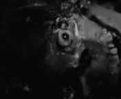 Este vídeo contém fragmentos das seguintes obras audiovisuais/ This video is composed by fragments of the following films: Night of the living dead, Dawn of the dead, Day of the dead (George A. Romero, 1968, 1978 e 1985), Bloodsuckers from outer space (Glen Coburn, 1984), The return of the living dead (Dan O&#39;Bannon, 1985), Sinfonia da necrópole (Juliana Rojas, 2014), Horror express (Eugenio Martín, 1974), L.A. Zombie (Bruce la Bruce, 2010), Michael Jackson: Thriller (John Landis, 1983), Suga