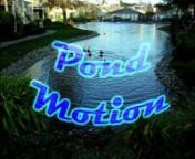 Pond Motion from dip pictures