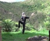 This video describes some of the normally hidden fighting applications in one of the tai chi movesn~~~~~~~~~~~~~~nA LINEAGE OF DRAGONS  - This is about the powerful qigong master and Taoist immortal who was Bruce Lee’s uncle, mentor, and main kung fu teacher., It describes the nei kung he used to become one of the most powerful, and the amazing things experienced by the author.  This book describes the secret Taoist spiritual path of the warrior wizard, a rare and powerful physical, emotion