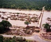 Tropical cyclone Eloise has resulted in heavy rains and flooding in parts of South Africa&#39;s Greater Kruger National Park. The cyclone is passing over South Africa after it hit central Mozambique last week. It caused severe flooding—reminding us of 2000 when another cyclone hit the Kruger Park, causing severe damage. nn#stockfootage � visit http://www.aquavision.co.zann#weather #floods #cyclone #krugerpark #CycloneEloise #earthcapture #floods2000 #wildlifeonearth#wildlifefilmmaker #wildlife