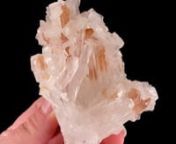 Available on Mineralauctions.com, closing on 2/25/2021.nnDon’t miss our weekly fine mineral, crystal, and gem auctions on mineralauctions.com. Dozens of pieces go live each week, with bids starting at just &#36;10!nMineralauctions.com is brought to you by The Arkenstone, iRocks.com