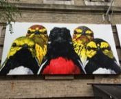 The Audubon Bird Mural Project, sponsored in part by the National Audubon Society,* is an impressive effort to create murals of over 300 North American birds. Most of the murals are in the Harlem neighborhoods of Hamilton Heights and Washington Heights, where John James Audubon lived the last ten years of his life. All of the birds painted are threatened by climate change. So the project is designed not only to display the birds’ beauty, but also to make us aware of the challenges that they fa