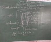 Class VII, Science, Biology, CH-12, Reproduction in plants, L-8 from class 8 science reproduction in notes