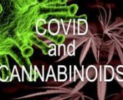 This talk was prepared in mid-2020 for the American Osteopathic Association (AOA) annual educational conference. It addresses the impact of cannabinoids on the immune system&#39;s abilities to control viral diseases such as COVID-19. Epidemics present timely opportunities to explore the effectiveness of promising new drugs to treat desperate humanitarian needs. While more research is essential, Cannabidiol appears to bring modest impact in assisting the immune system&#39;s ability counter COVID&#39;s deadly