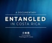 Entangled in Costa Rica from give birth laura