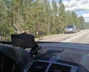 Petité résumé d&#39;un périple effectué dans les confins nordiques en l’été 2020. Les milliers de km de stop par lesquels j’ai rallié le nord de la Laponie suédoise, ainsi que les longues journées de marche vers un horizon toujours plus sauvage, étaient la promesse de rencontres sublimes, et de paysages inoubliables.nnCe voyage m&#39;a inspiré une petite composition que j&#39;ai mise en bande-son de la vidéo. Je joins ci-dessous les paroles et la traductionnnMother spacennWhenwe see the g