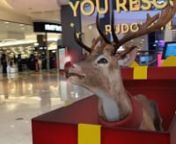 We&#39;re ecstatic to bring joy to tens of thousands of kids (and adults) with an Augmented Reality adventure to find Santa&#39;s reindeer across Westfield Shopping Centres across the country. Using our customized ‘reindeer finder’ compass, which updates in realtime based on GPS, shoppers could find and save Santa’s reindeer through 9 mini games, before unlocking a final AR photo moment next to Santa&#39;s photo booth in each centre.nWestfield staff at each centre could determine the exact location of