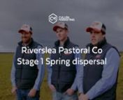 Riverslea Pastoral Co - Stage 1 Spring dispersalnIt brings us great pleasure to present to you a line up of 330 Spring &amp; 85 Autumn born Holstein dairy cattle for tender on behalf of Riverslea Pastoral . nnIf you&#39;re looking to invest in a line up of Holstein cattle that tick all the boxes, you cannot go past this fantastic line up of cattle during a tremendous season complemented with high milk and beef prices. nnContact one of the Alex Scott &amp; Staff Sale team members today!nnJarryd Sutto