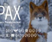 An adaptation of Sara Pennypacker’s best-seller.nnPax and Peter have been inseparable ever since Peter rescued him as a kit. But one day, the unimaginable happens: Peter&#39;s dad enlists in the military and makes him return the fox to the wild.nnThis teaser is our vision of what the film “Pax” could have looked like if this book was adapted.nnThe New York Times Best Seller.nThe best children’s book of 2016 by Amazon.nnThis video is for non-commercial use only.nn- AWARD WINNER for Cannes Wor
