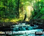 #rainforest #relax, #sunskyrainmoon, #study #sleep #healingwithnature #asmrnn⚠️ Special Offer: Get an Abundance Mentality Mindset:https://bit.ly/3n5XSqW (limited time offer)nn� What are the benefits of listening to nature sounds?nNew data finds that even listening to recordings of nature can boost mood, decrease stress, and even lessen pain. According to new data, listening to birdsong helped decrease stress.nWe have known it for centuries. The sounds of the forest, the scent of the tree