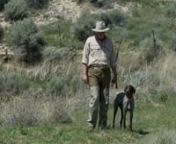 Dogs learn in a linear fashion, so in this video Scott shows you how important it is to break a complex task into smaller pieces. Training one piece at a time ensures a compliant, happy, peak-performing hunting buddy.