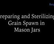 This is the first proper meal you’ll be cooking for your mycelium – a hot, steamy mason jar with hydrated corn kernels inside. In this module you’ll learn to hydrate the corn, sterilize it in mason jars using a pressure cooker and then inoculate it with some liquid mycelium.
