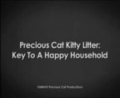 Title: PC “Key To a Happy Household” (1:24)nClient: Precious Cat Kitty LitternProd. Company: Citizen Pictures nRole: Concept, Script, Producer, Director, ActornnPrecious Cat is a local kitty litter company. They had a chance to get an “instructional video” on the PetSmart website; they had very little money to produce but were open to just about anything - the type of mission I love.nnThere’s not much to “demonstrate” about cat litter, so I decided to do a period piece in the style
