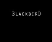 No birds were harmed in the making of this film ;¬)nnAn international YouTuber collaborationnnCover of the Beatles song &#39;Blackbird&#39; (McCartney 1968) Produced by George Martinnnhttps://play.google.com/music/preview/Tmv5gfvdrzqebw7pu7xstfmajqq?lyrics=1&amp;utm_source=google&amp;utm_medium=search&amp;utm_campaign=lyrics&amp;pcampaignid=kp-songlyricsnnPerformed by &#39;Exempt from Gravity&#39; (guitar) and Anja Mark Jensen (vocals)nnVideography and field recording of blackbird evensong by WorkAreaBarnnnnEx