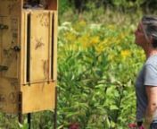 Audio Bee Booth: