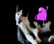 A story about the love hate relation between a cat and her imaginary purple friend....sometimes they get along...sometimes they don&#39;t.nnmusic by Wolfpeople