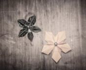 Learn how to make elegant origami flowers. Step by step video tutorial.