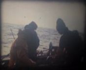 Em 1977, José Manuel Sá filmou com uma câmara de 8 mm o quotidiano dos pescadores de Caxinas e Poça da Barca. Documento de uma época, o filme foi recebido com emoção por uma plateia de caxineiros que, em Julho de 2012, teve oportunidade de o ver exibido, por iniciativa do Festival de Curtas Metragens de Vila do Conde. Em colaboração com o projecto Farol da Memória, o autor acedeu a que partilhássemos este seu trabalho, permitindo-nos inaugurar este canal no Vimeo da melhor forma.