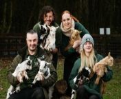 Seven baby Goats have been born at Telford&#39;s Exotic Zoo!