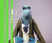 Every Monday, The Muppets bring you their wise, witty and sometimes weird Thought of the Week.