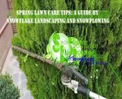 Welcome to Snowflake Landscaping and Snowplowing – your go-to destination for top-tier landscaping and snow removal services in Etobicoke and the Greater Toronto Area (GTA). ❄️&#60;br/&#62;&#60;br/&#62; Lawn Care Services:&#60;br/&#62;Transform your lawn into a lush green oasis with our expert lawn care services. From mowing and edging to fertilizing and pest control, we&#39;ve got your lawn maintenance covered. Discover the secret to a vibrant, healthy lawn all year round.&#60;br/&#62;&#60;br/&#62; Sod Installation:&#60;br/&#62;Dreaming of a picture-perfect lawn? Our sod installation services are tailored to give you an instant, beautiful lawn. Explore our professional sodding solutions that promise a green, well-manicured lawn that complements your home&#39;s aesthetic.&#60;br/&#62;&#60;br/&#62; Tree Removal:&#60;br/&#62;When it comes to tree services, we&#39;re your trusted experts. Our skilled team ensures safe and efficient tree removal, pruning, and trimming. Enhance the safety and aesthetics of your property with our comprehensive tree care solutions.&#60;br/&#62;&#60;br/&#62;❄️ Snow Removal Services:&#60;br/&#62;Winter is no match for Snowflake Landscaping! Our snow removal services keep your property clear and accessible during the snowy months. Count on us for prompt and reliable snow plowing, shoveling, and de-icing services.&#60;br/&#62;&#60;br/&#62; Serving Etobicoke &amp; GTA:&#60;br/&#62;Based in Etobicoke, we proudly serve the entire Greater Toronto Area. Whether you&#39;re in Etobicoke, Mississauga, Brampton, or beyond, Snowflake Landscaping is your local partner for exceptional landscaping and snow removal.&#60;br/&#62;&#60;br/&#62; Contact Us:&#60;br/&#62;Ready to transform your outdoor space? Contact Snowflake Landscaping and Snowplowing today! Visit our website www.snowflakelandscaping.com or give us a call at 647-405-0880.&#60;br/&#62;&#60;br/&#62;Subscribe for more tips, tutorials, and inspiration for maintaining a beautiful outdoor space all year round. Like, share, and hit the bell icon to stay updated with our latest services and landscaping insights. Your dream landscape awaits! ❄️&#60;br/&#62;&#60;br/&#62;#SnowflakeLandscaping #LawnCare #SodInstallation #TreeRemoval #SnowRemoval #Etobicoke #GTA #LandscapingServices