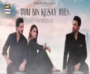 Tum Bin Kesay Jiyen Episode 30 _ March 2024 (English Subtitles) ARY Digital from tere bin episode 27 teaser