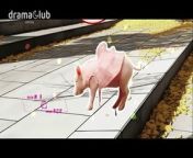 My Piggy Lover EP12 from world famuse lover