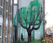 Suspected Banksy tree mural appears in LondonPA