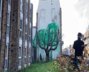 A suspected Banksy artwork has sprung up on the side of a building in Finsbury Park, north London.The artwork features swathes of green behind a pared back tree to give the appearance of leaves, with a stencil of a person holding a pressure hose next to it.The artwork appeared on Sunday in Hornsey Road.