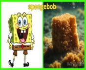 spongebob squarepants character in real life