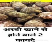 knowledge about taro root