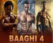 Hi I am Nabin Kumar Singh, Welcome To our YouTube channel Nabin Reel Reviews. Movies are one of the most important part of our day to day life. Movie play an important role in our life. In this video I will cover Baaghi 4 Movie Announcement. When Shooting Start, Release date of Baaghi 4 etc. &#60;br/&#62;&#60;br/&#62;Connect with us on&#60;br/&#62;Facebook:&#60;br/&#62;https://www.facebook.com/nabinreelreviews&#60;br/&#62;Instagram:&#60;br/&#62;https://instagram.com/nabinreelreview...