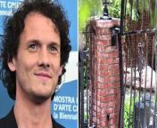 Star Trek actor Anton Yelchin was killed when fatally crushed against the gate guarding his San Fernando Valley home