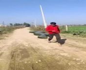 Anaconda Snake Chasing Boy video#Shorts from www com mobile video