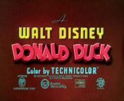 20 All in a Nutshell 1949 Disney Toon from toon disney gets grounded