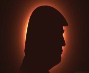 Donald Trump shares bizarre eclipse campaign advertDonald Trump
