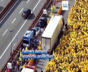 Wearing yellow, thousands of Italians involved in the agriculture business protested, calling for a review of the &#39;Made In Italy&#39; EU labelling system.