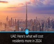 Have you been worried about your household expenditures overshooting your monthly budgets? You are not alone. Almost half of UAE residents say the &#39;cost of living&#39; is the leading cause of stress, followed by personal and family financial concerns, according to a survey.&#60;br/&#62;&#60;br/&#62;Here&#39;s a look at the things that will add to your cost of living in 2024