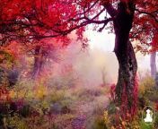 30 MinutesRelaxing Meditation Music • Inspiring Music, Sleepand calm anxiety (Red leaves) @432Hz from 09 lil wayne 30 minutes to new orleans