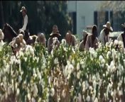 12 Years a Slave Bande-annonce (FR) from disney fr java